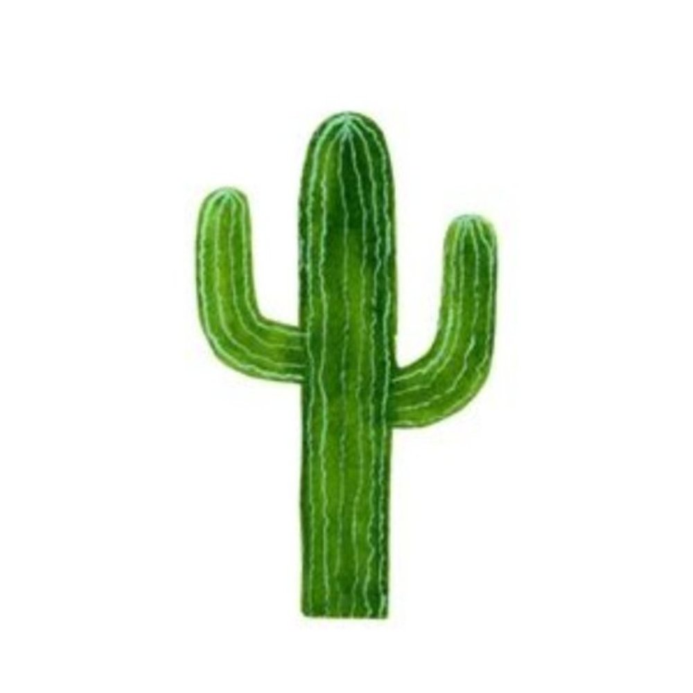 Minimalist modern green watercolor cacti art print - Picture 2 of 2